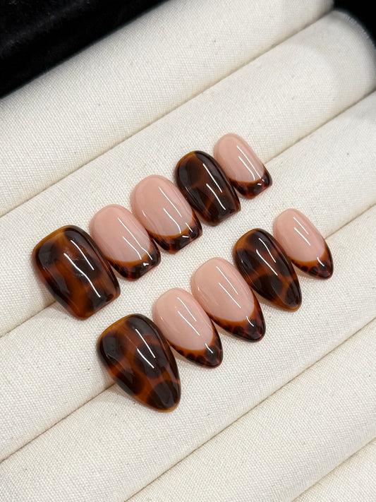 Mocha Shell