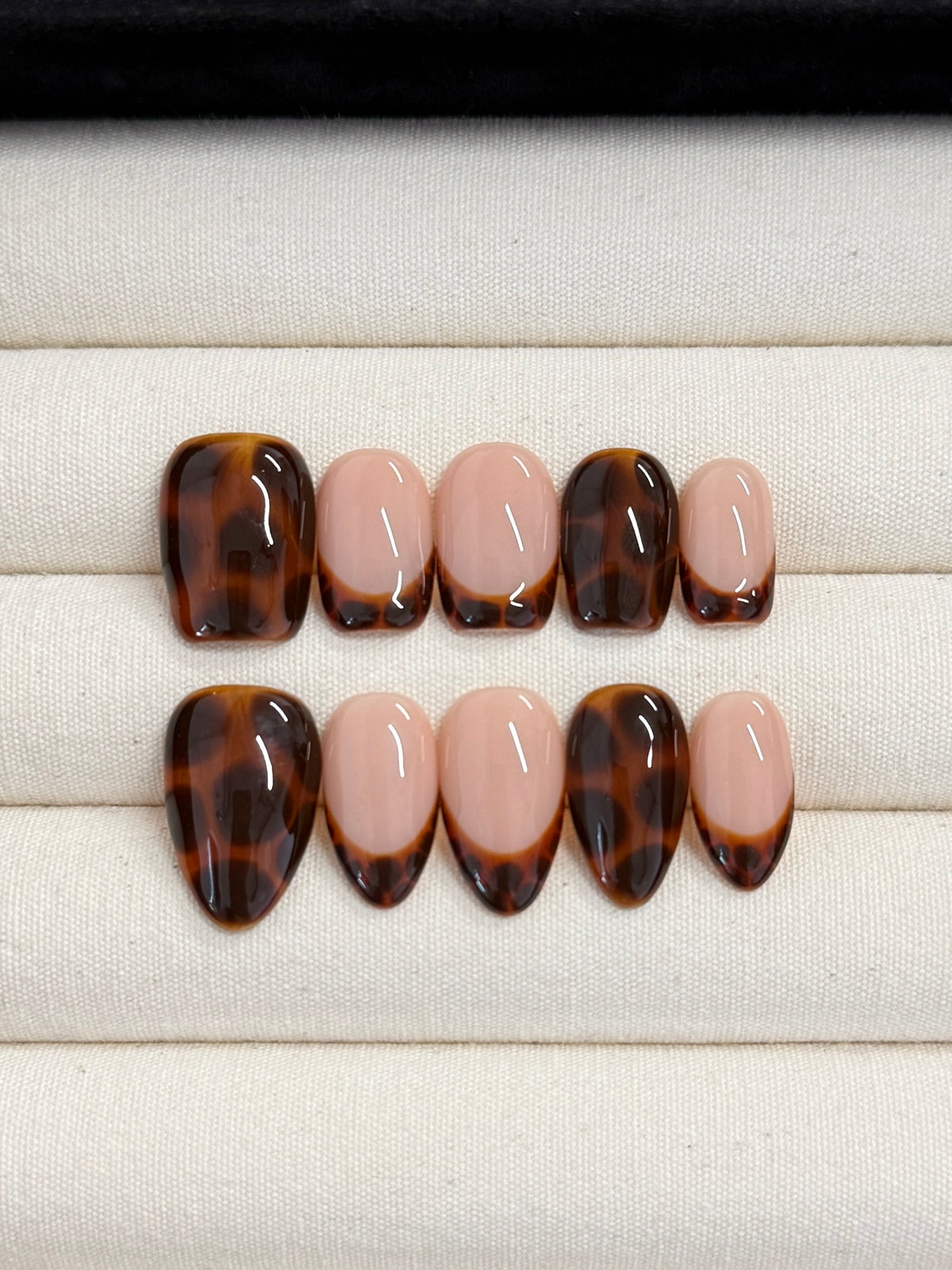 Mocha Shell