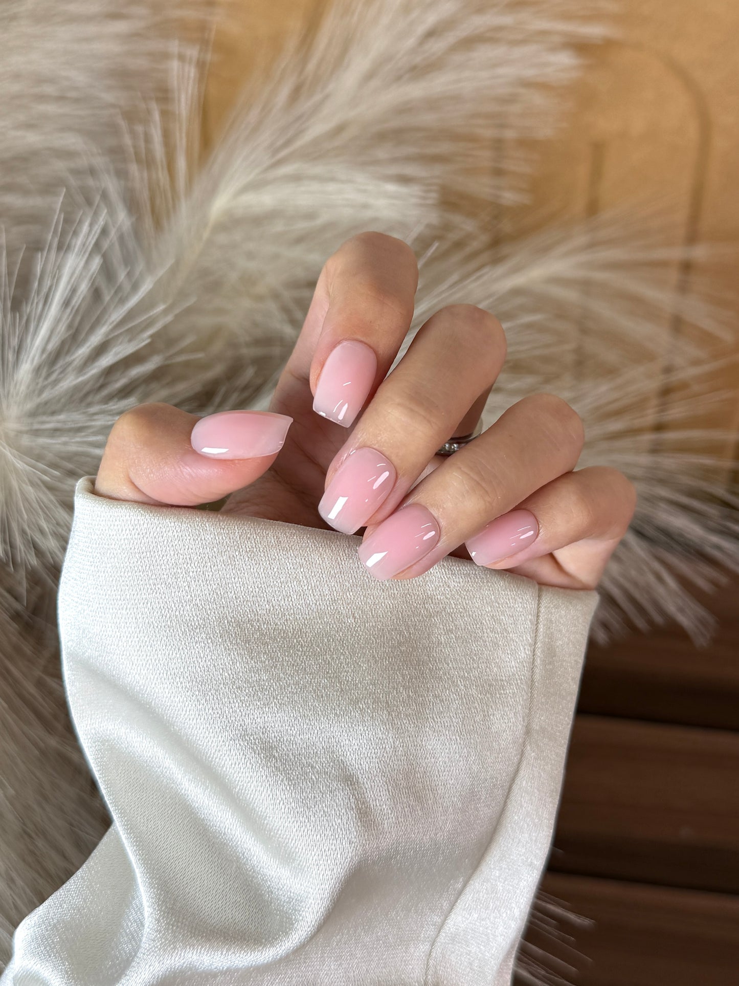 Pink Veil - BIAB