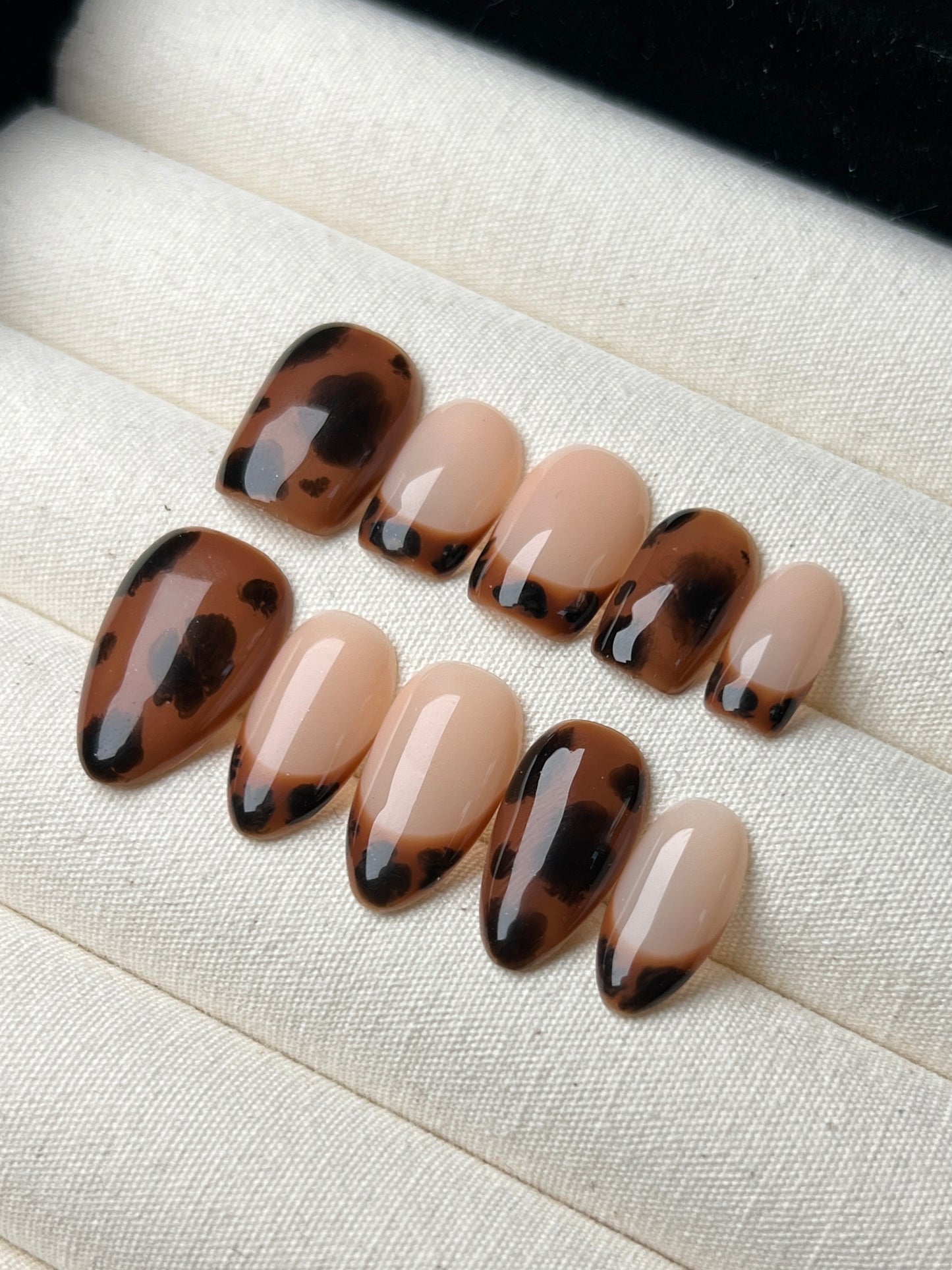 Mocha Shell