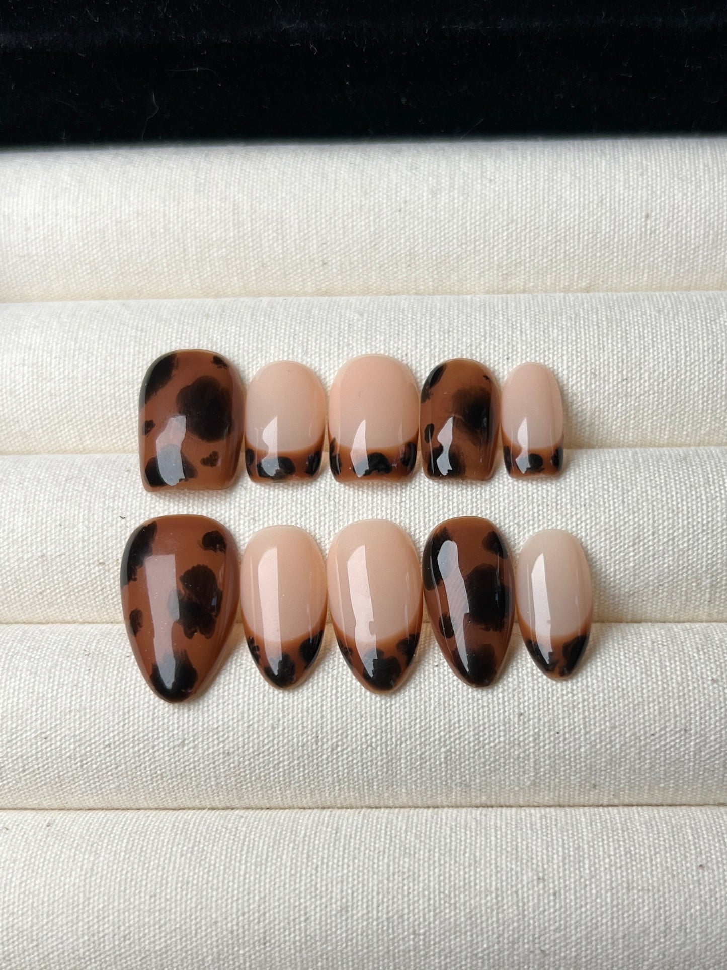 Mocha Shell