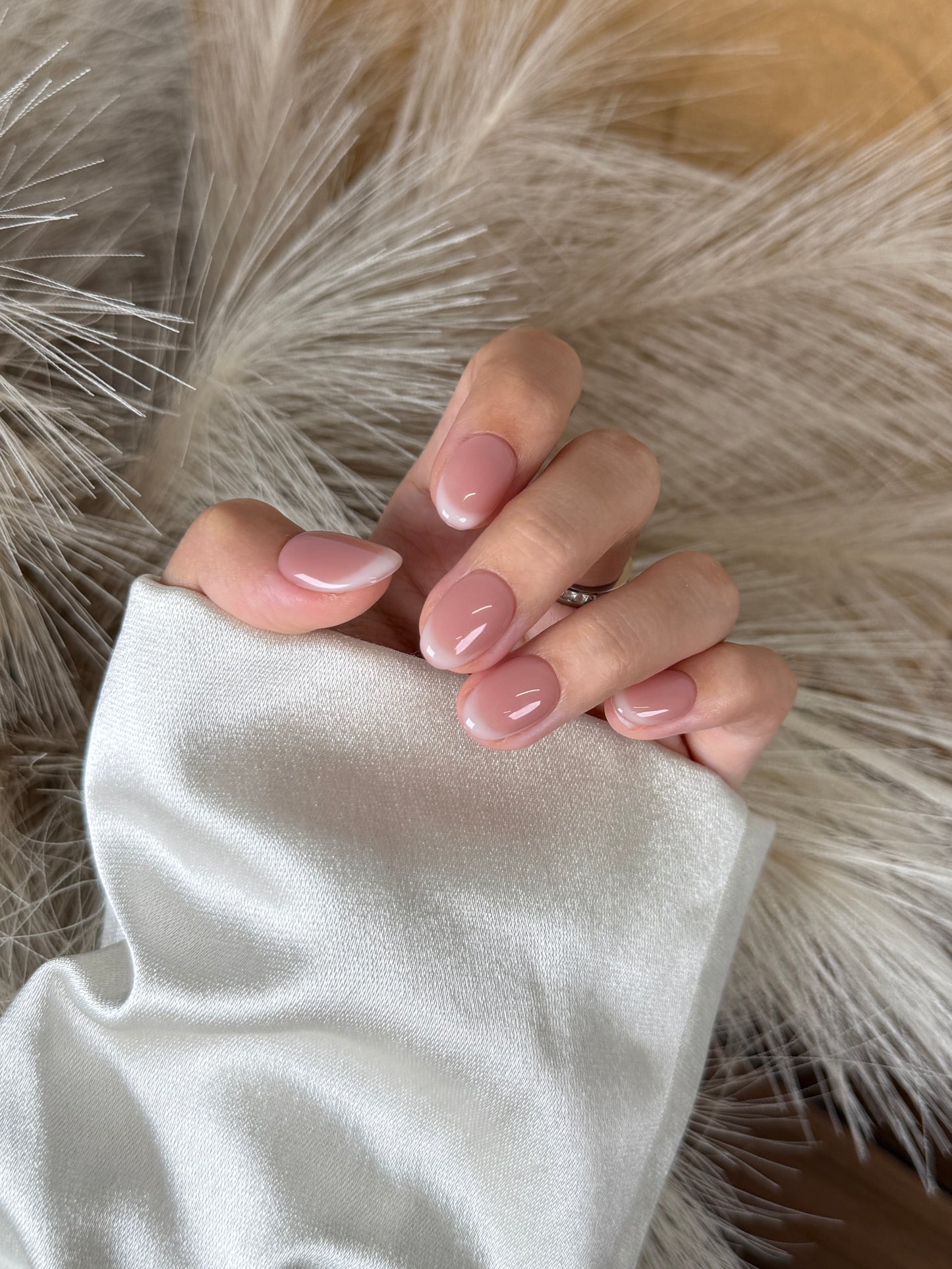 Nude French Tip