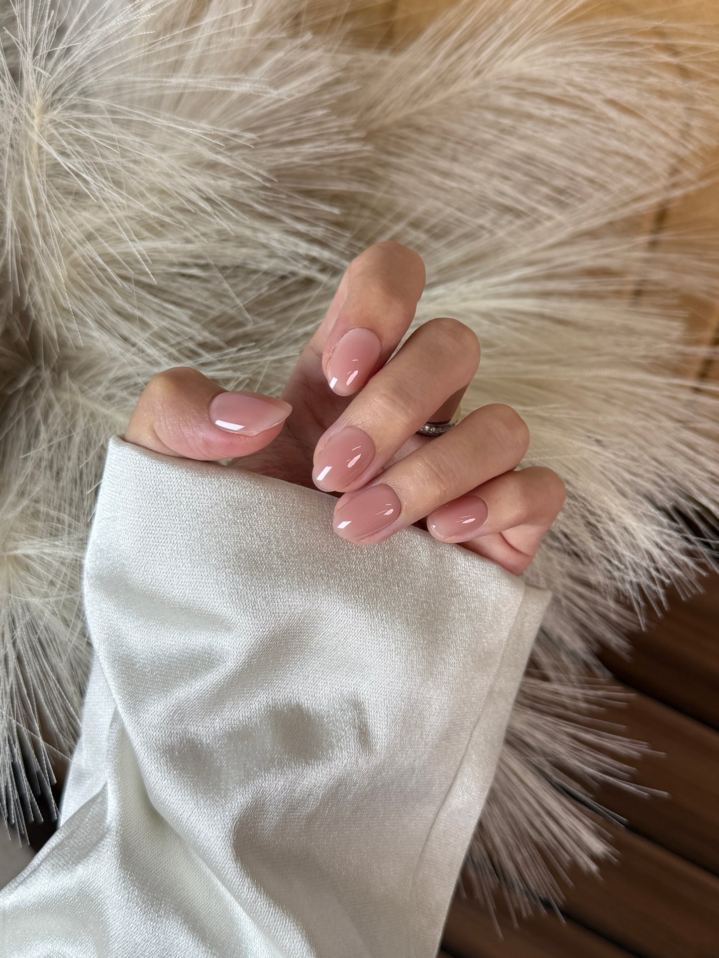 Warm Blush - BIAB