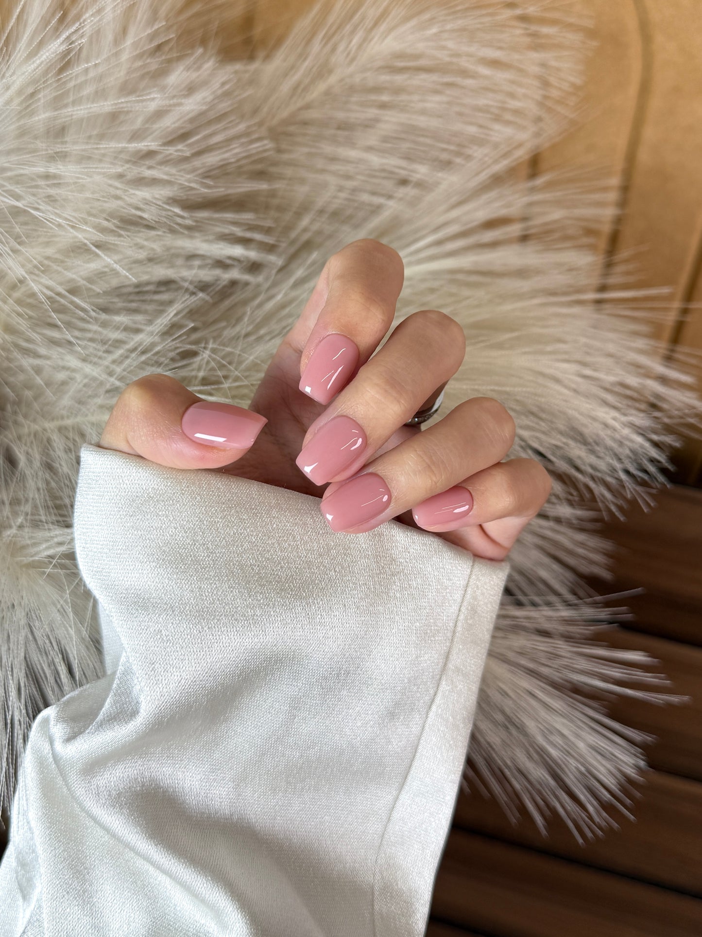 Natural Nude - BIAB